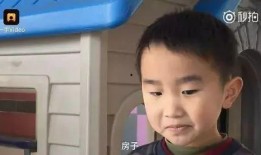 梨视频爆料能拿多少钱,揭秘收益内幕，揭秘爆料者能拿多少钱？”